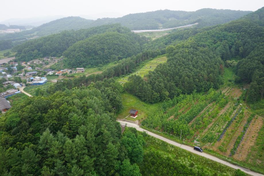 허용기준 연구