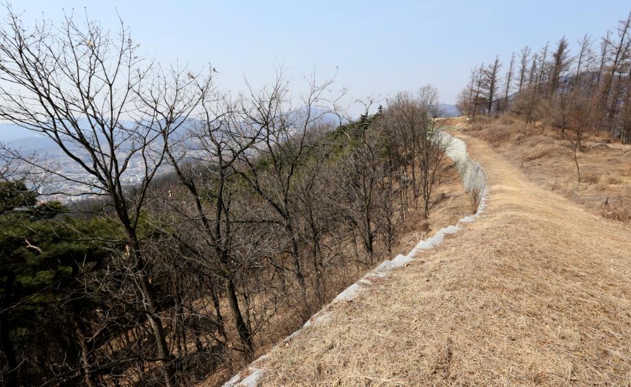 찜통 더위 식히는 음성 수정산성 둘레길 이미지