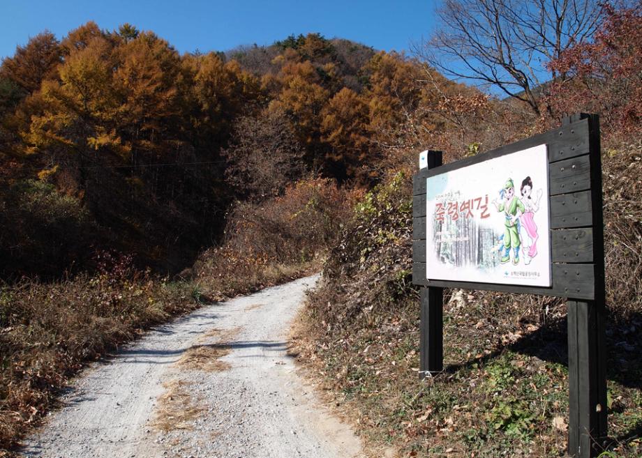 죽령옛길과 다자구 할머니(죽령산신) 이야기 이미지