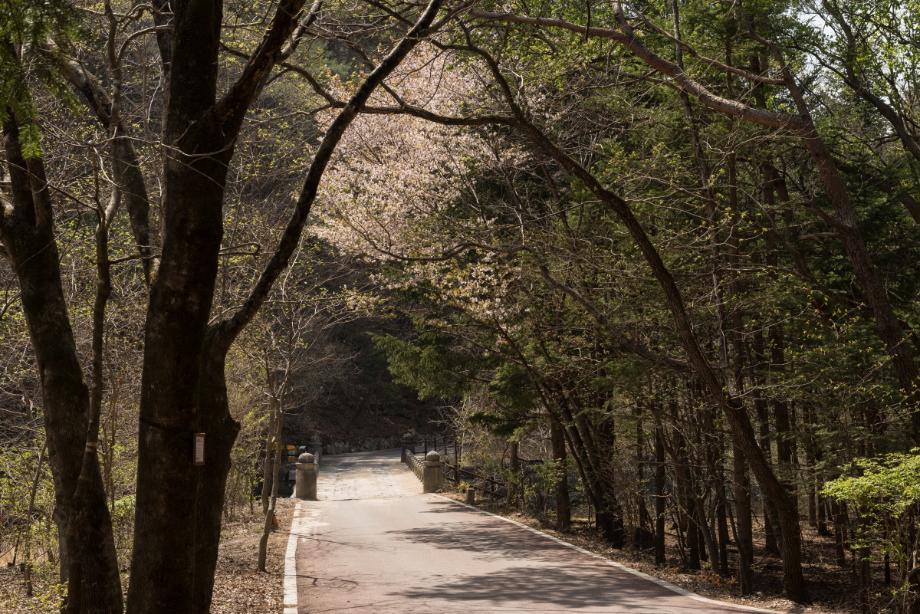 충북 문화유산 진흥을 위한 노력이 필요할 때 이미지